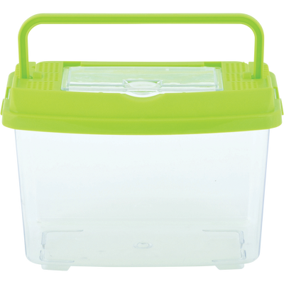 Caja de Estudio de Insectos